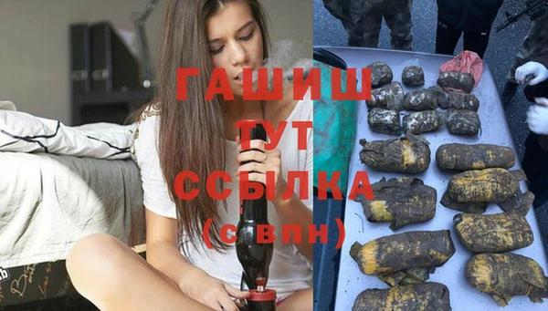 Альфа ПВП Горняк