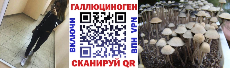 Галлюциногенные грибы Magic Shrooms  кракен tor  Мыски 
