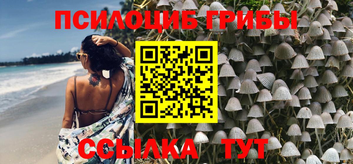 Псилоцибиновые грибы Magic Shrooms  Псилоцибиновые грибы Cubensis  Мыски  Вход с VPN 