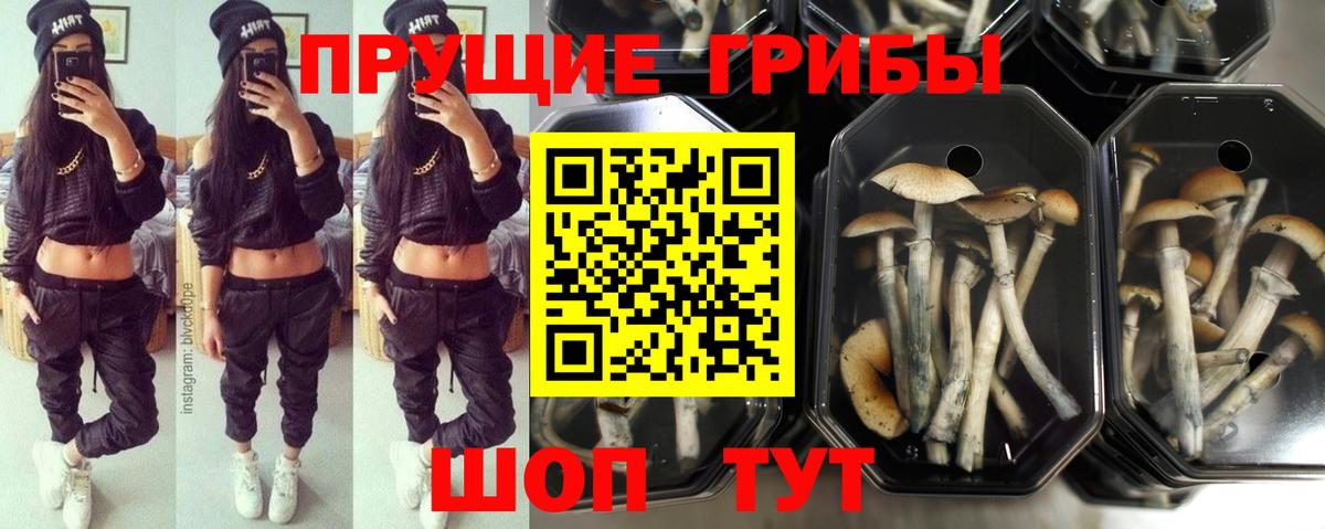 Псилоцибиновые грибы MAGIC MUSHROOMS Мыски