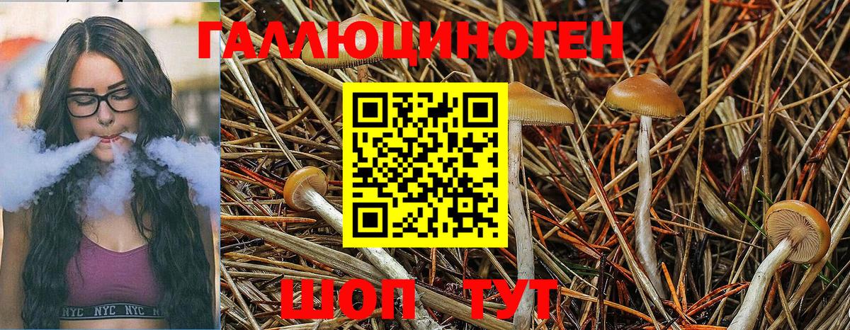 Псилоцибиновые грибы ЛСД Мыски
